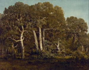 Theodore Rousseau, The Great Oaks of Old Bas Breau