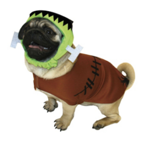 Frankenpug