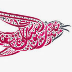 Islamic Law & Islamic Humanities  