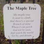 Sign: Maple tree poem