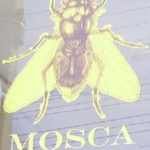 Mosca in Kensington Market
