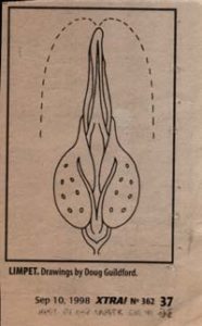 Doug Guilford - limpet