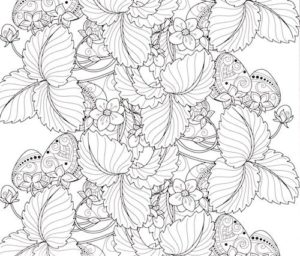 inside (strawberries) - Elena Schlenker - colouring book - Great things are done by a series of small things brought together