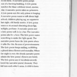 Chris Banks - narrative versus lyric - the cloud versus grand unification theory