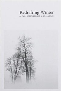 cover - redrafting winter - gillian sze and alison strumberger