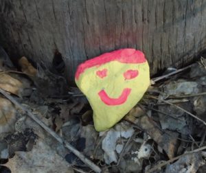 Painted Rock Spotted on Follis Street, Toronto
