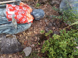 Kyoto Typhoon victim