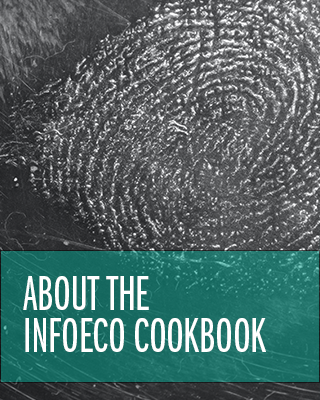 About the InfoEco Cookbook