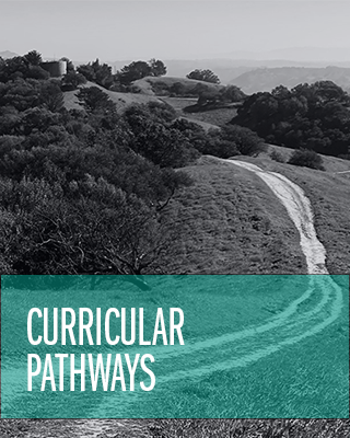 Curricular Pathways