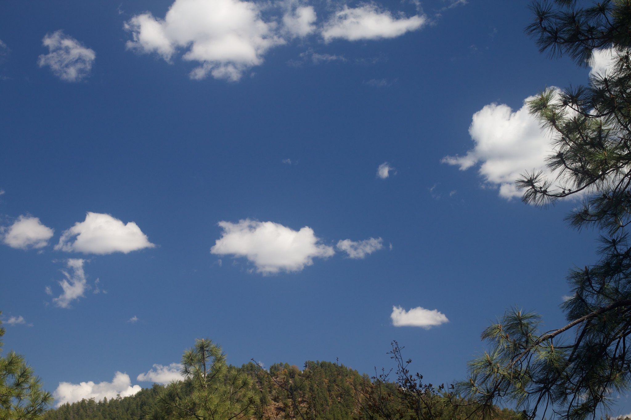 Blue Sky (decorative)