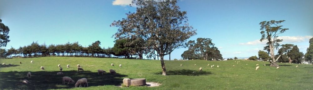 Lavinia Disa Winona Araminta 