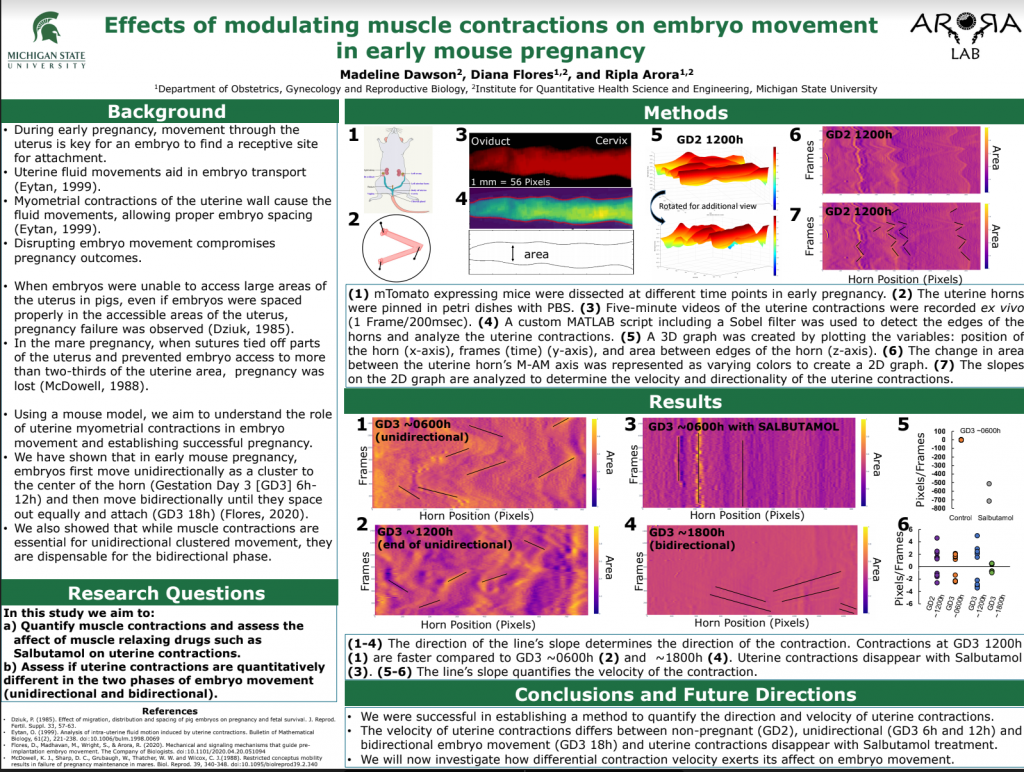research poster