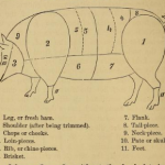 Drawing of a pig showing the different cuts