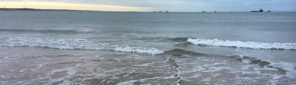 The Romanticist and the Historian