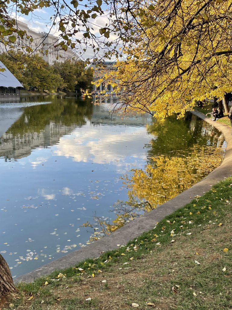 A tree whose leaves have turned yellow dominates the right hand side of the frame, it is hanging over a still pond that reflects the yellow riot of leaves, the blue sky, and some white, puffy clouds.