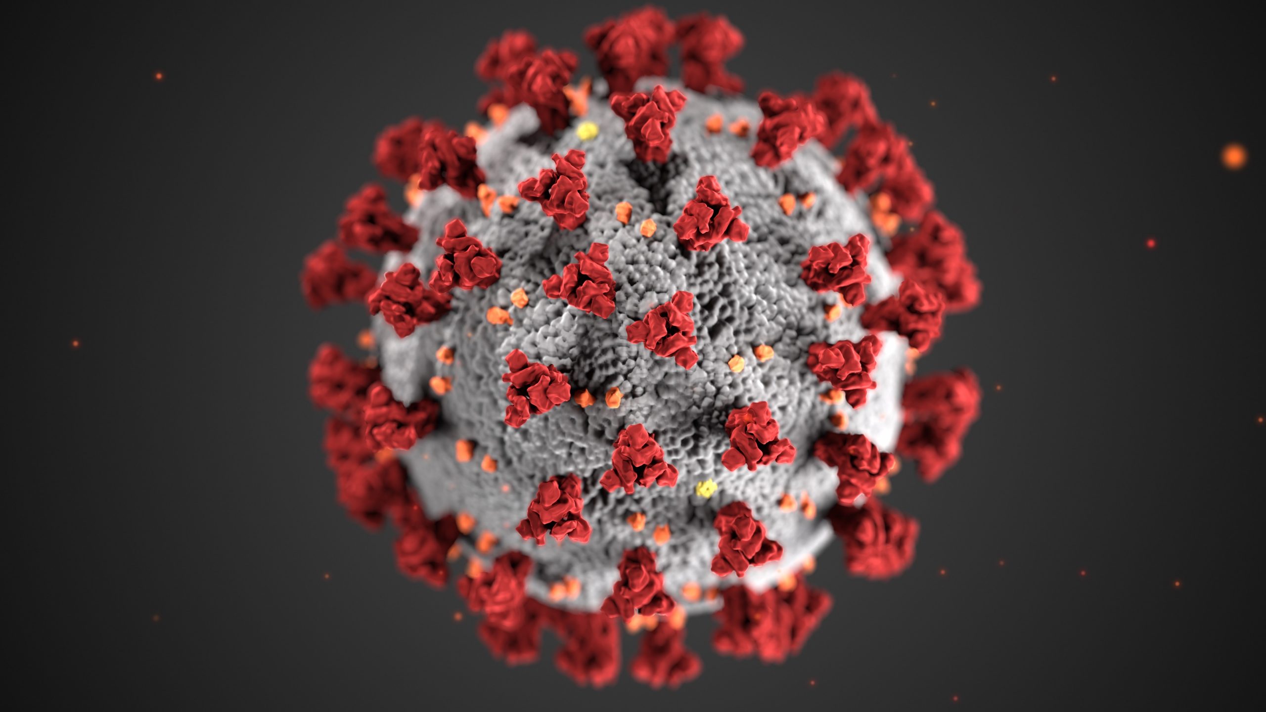 Illustration of coronavirus