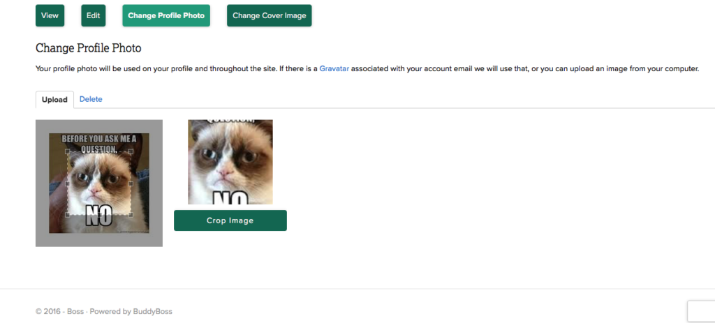 Screen Shot 2016-10-21 at 3.42.26 PM
