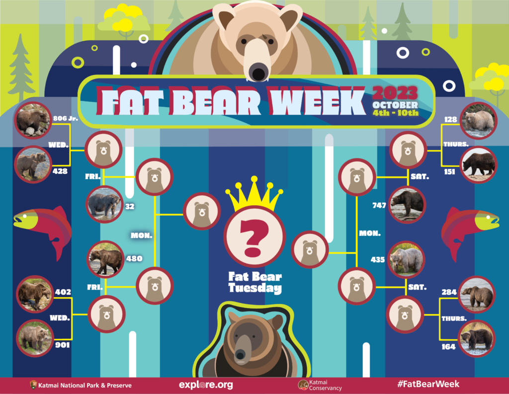 The Fat Bear Week bracket for 2023. Bears are laid out on the bracket much like the March Madness college basketball brackets. 